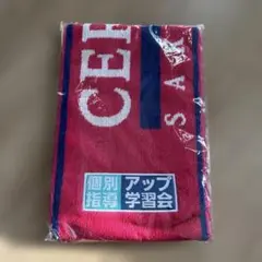 Item thumbnail for item f0290aca-891a-4de9-a2ce-c4fe14d70d19