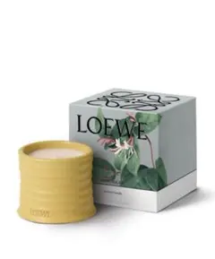 最終値下げ【LOEWE】OREGANOキャンドル　新品未使用　ロエベ Oregano | LOEWE Perfumes