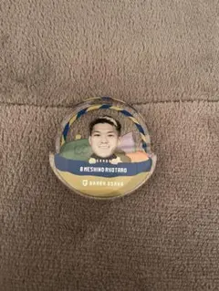 ガンバ大阪 スポーツ選手