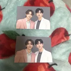 SEVENTEEN HARE ペアトレカ ジスハン