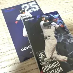プロ野球チップス2025 STAR CARD他まとめ売り