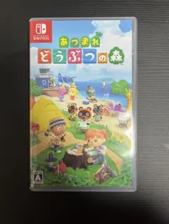 ち*ん様 あつまれ どうぶつの森 Nintendo Switch