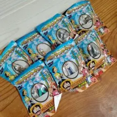 ワンピース☆グランドラインキーチェーン