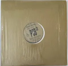 PSB² /The Menagerie Mixes ペットショップボーイズ12