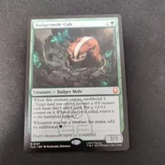 2026年最新】アナグマモグラの仔 mtg の人気アイテム - メルカリ