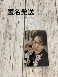 straykids Hollow タワレコ 特典 トレカ リノ