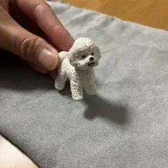 犬　ビジョンフリーゼ　カプセルトイ　ガチャガチャ