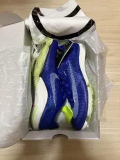 NIKE ZOOM VICTORY 新品未使用 29.0cmのサムネイル
