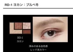 KATE（ケイト）バーチャルアイズメイカー　RD1