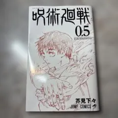 全初版美品 呪術廻戦 0-0.5-25巻set16以外帯付15以外ジャンパラ付 2025年最新】呪術廻戦0.5巻の人気アイテム - メルカリ