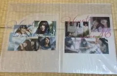 日向坂46 ひなたざかTypeA・TypeB購入特典クリアファイル 2장 세트