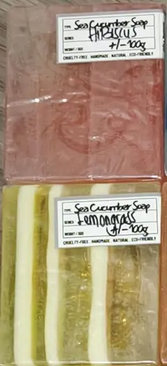 【とも様専用】Bathing Tapir マレーシア 高級ナマコ石鹸 4個