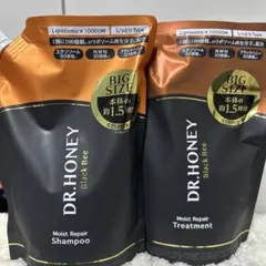 DR.HONEY モイストリペアシャンプー＆トリートメント セット