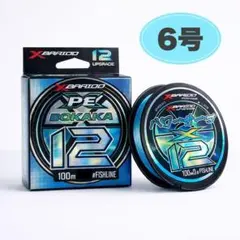 PEライン 6号 12本編み 100m ブルー X12 遠投 PE-B-6 - メルカリ