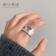 1 シルバーリング ウェーブ フリーサイズ ヴィンテージ風 メッキ