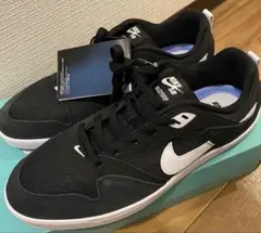 ［新品］ナイキNIKE SB アリウープ