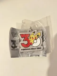 ポケモン 30周年記念 メタルチャーム ガチャ ピカチュウ　②
