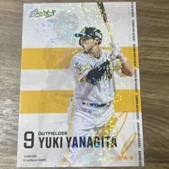 柳田悠岐 ホークス タカコレ リアルカード