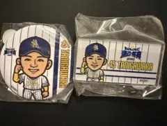 福岡ソフトバンクホークス 谷川原健太選手缶バッジ 2種セット