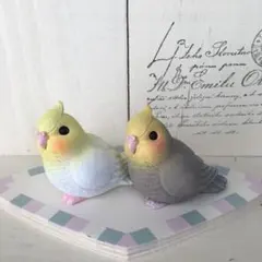 鳥　オカメインコ　置物　飾り　とり　3点セット　ガーデン