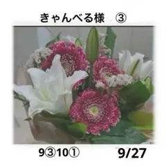 きゃんべる様　9月③・10月①おまとめページ