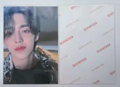 SEVENTEEN　ALWAYS YOURS セルフィーフォト　エスクプス