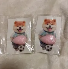 Item thumbnail for item 93f88655-568b-457b-aeed-7eb70d69f75f