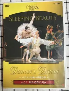 DANCE SYMPHONY 最終楽章」 DVD - メルカリ