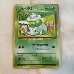 フシギダネ　ポケモンカード 旧裏　マークなし