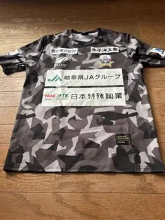 Item thumbnail for item ea288a06-d72c-4643-8741-c81fbfefb92c