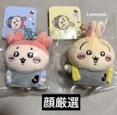 うさぎ　古本屋　カニちゃん　ちいかわxJリーグ ユニフォームマスコット　応援