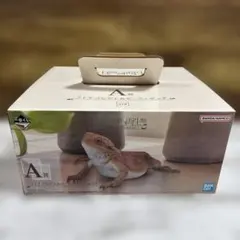 [オークション落札者未購入品]一番くじ　爬虫類&両生類　A賞　フトアゴヒゲトカゲ