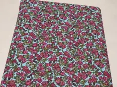 Item thumbnail for item 0a186a79-b95c-4726-937b-37732990d1a5