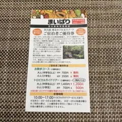 宮古島　東急ホテル&リゾーツ　ご宿泊者ご優待券　まいぱり入園券のサムネイル