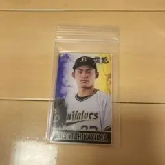 2026年最新】オリックス 佐藤達也の人気アイテム - メルカリ