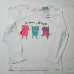 Item thumbnail for item e15c1c28-7f0b-43c0-b8bc-78a4067e79dc