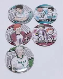 ハイキュー!! 缶バッジ 5個セット（青葉城西、白鳥沢、伊達工）