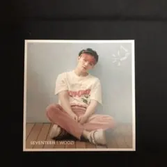 SEVENTEEN ウジ シリアルコード