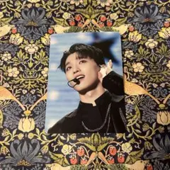 SEVENTEEN FOLLOW TO CINEMAS 映画館 入場特典 ディノ