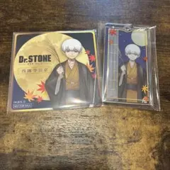 Dr.STONE ドクターストーン まねきねこ 缶バッジ 羽京 等身 - メルカリ