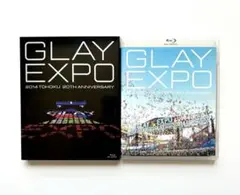GLAY EXPO 2014 TOHOKU 20th Anniversary - メルカリ