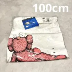 Item thumbnail for item d340a637-b565-419c-a730-30ea8a6dad69