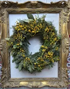 2025年最新】ミモザ リースの人気アイテム - メルカリ