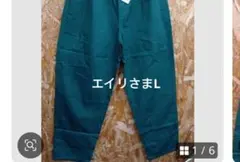 エイリさまL