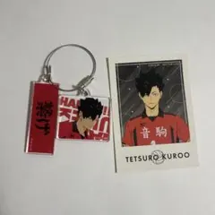 ハイキュー！！トレーディングアクリル2連キーホ ルダー音駒黒尾鈇朗