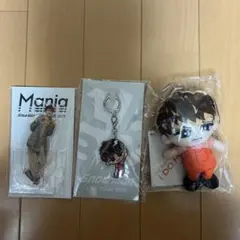 SnowMan 向井康二 アクスタ すのチルぬいぐるみ ぶらさがりキーホルダー