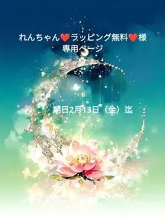 ❤れんちゃん❤️ラッピング無料❤️様専用ページ❤