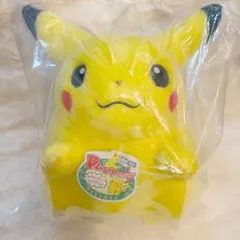 ポケモン30周年記念おかえり!ピカチュウ1/1