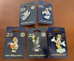 ディズニー　30周年　ピンバッチ