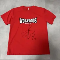 Vコレ　年賀状2024 永露元稀選手(直筆サイン入り) Vコレ 年賀状2024 永露元稀選手(直筆サイン入り) 2025年最新】永